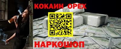индика Кингисепп