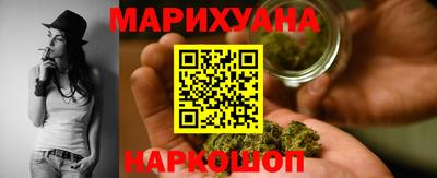 индика Кингисепп