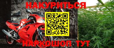 индика Кингисепп