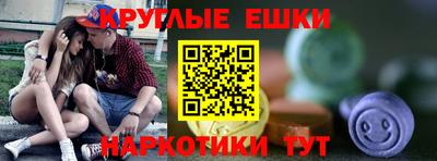 индика Кингисепп