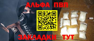 индика Кингисепп