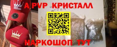 индика Кингисепп