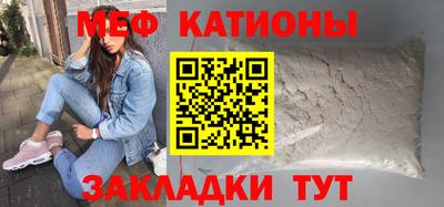 индика Кингисепп