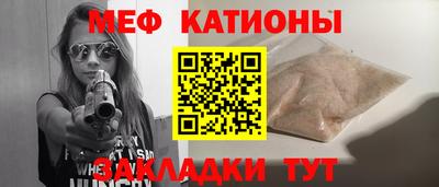 индика Кингисепп