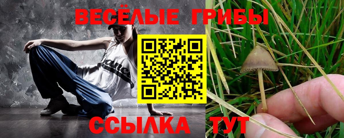 Галлюциногенные грибы Psilocybe  Вход с VPN  Удомля  Галлюциногенные грибы MAGIC MUSHROOMS 